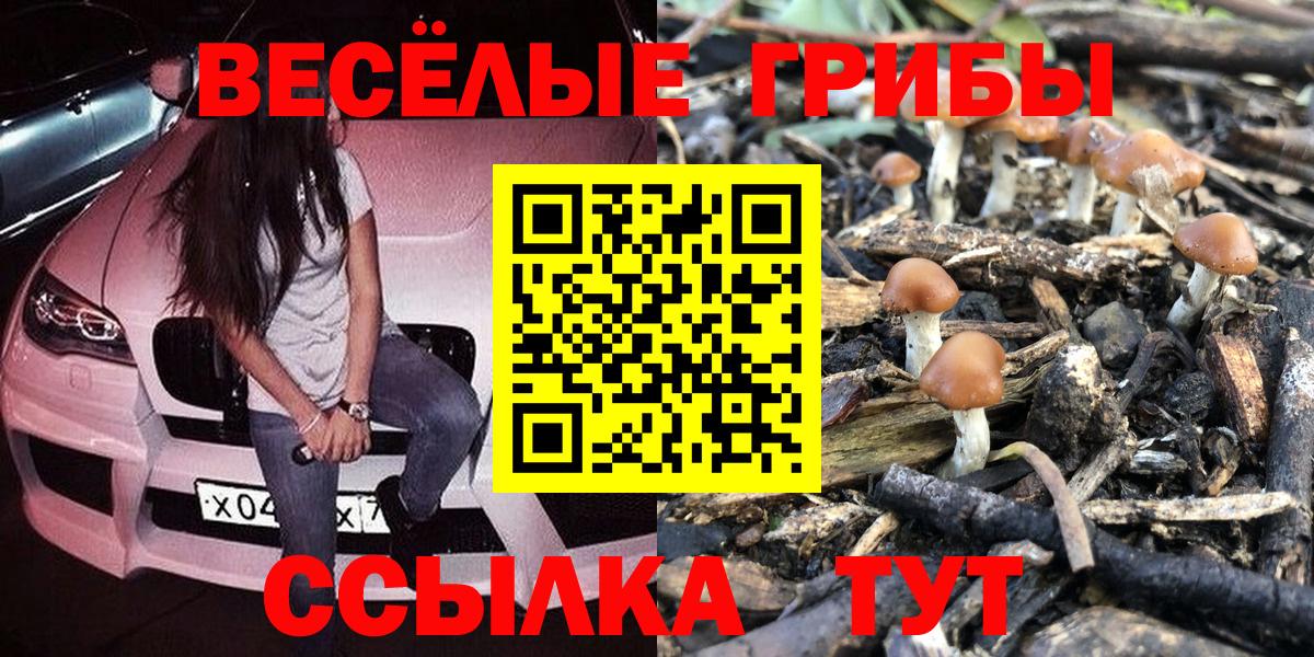 Галлюциногенные грибы Magic Shrooms  Псилоцибиновые грибы прущие грибы  Вход с VPN  Славянск-на-Кубани 